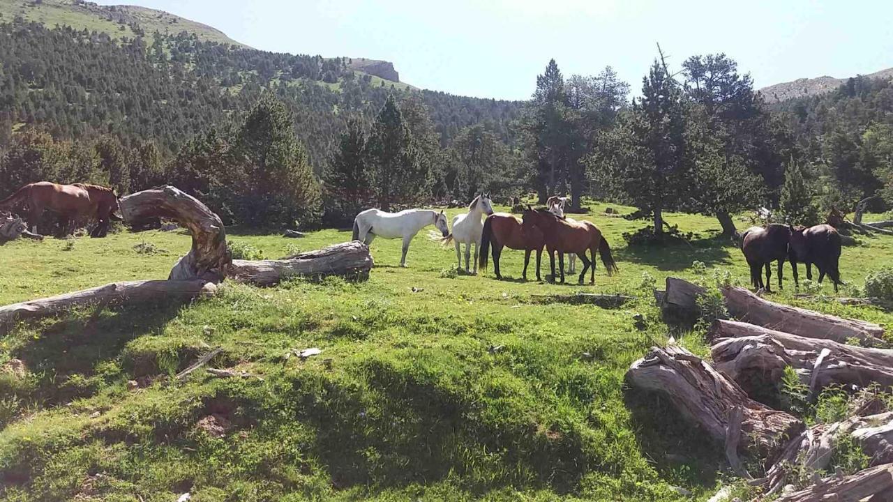Apartaments Morello Esterri D'Aneu Bagian luar foto